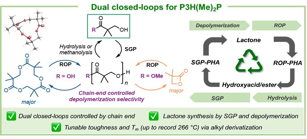 Dual closed loops for PH3(Me)2P